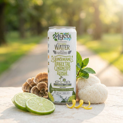 Lemon Lime Seltzer